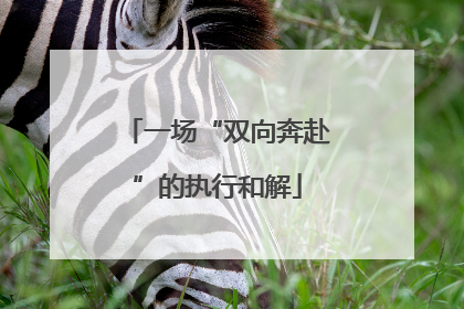 一场“双向奔赴”的执行和解