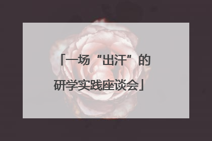 一场“出汗”的研学实践座谈会