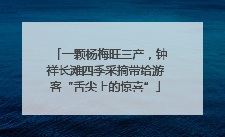 一颗杨梅旺三产，钟祥长滩四季采摘带给游客“舌尖上的惊喜”
