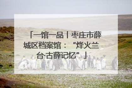 一馆一品丨枣庄市薛城区档案馆：“烽火兰台·古薛记忆”