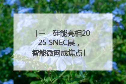 三一硅能亮相2025 SNEC展，智能微网成焦点