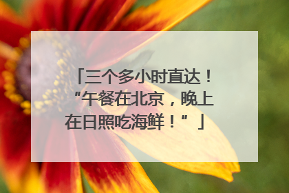 三个多小时直达！“午餐在北京，晚上在日照吃海鲜！”