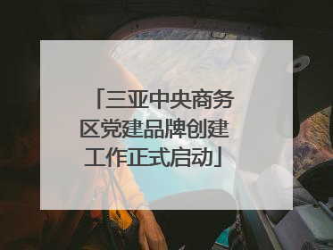 三亚中央商务区党建品牌创建工作正式启动
