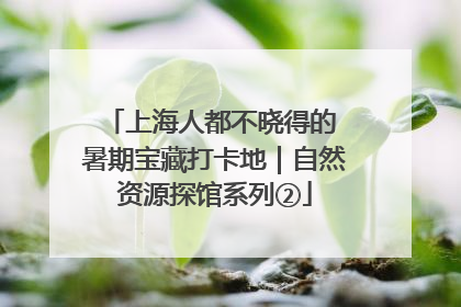 上海人都不晓得的 暑期宝藏打卡地｜自然资源探馆系列②