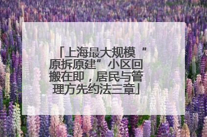 上海最大规模“原拆原建”小区回搬在即，居民与管理方先约法三章