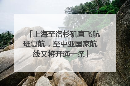 上海至洛杉矶直飞航班复航，至中亚国家航线又将开通一条