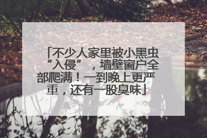 不少人家里被小黑虫“入侵”，墙壁窗户全部爬满！一到晚上更严重，还有一股臭味