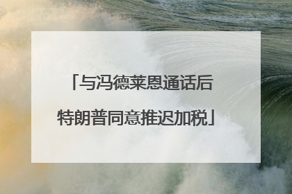 与冯德莱恩通话后 特朗普同意推迟加税