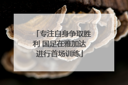 专注自身争取胜利 国足在雅加达进行首场训练