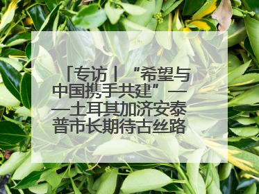 专访丨“希望与中国携手共建”——土耳其加济安泰普市长期待古丝路重镇焕发新活力