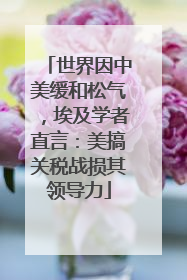 世界因中美缓和松气，埃及学者直言：美搞关税战损其领导力