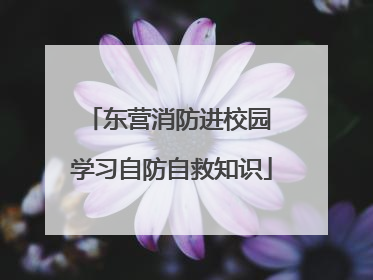 东营消防进校园 学习自防自救知识