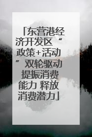 东营港经济开发区“政策+活动”双轮驱动 提振消费能力 释放消费潜力