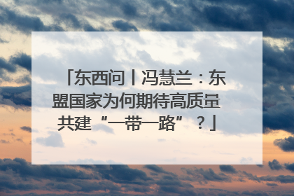 东西问丨冯慧兰：东盟国家为何期待高质量共建“一带一路”？
