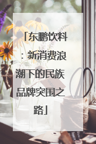 东鹏饮料：新消费浪潮下的民族品牌突围之路