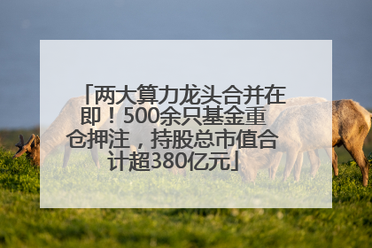 两大算力龙头合并在即！500余只基金重仓押注，持股总市值合计超380亿元