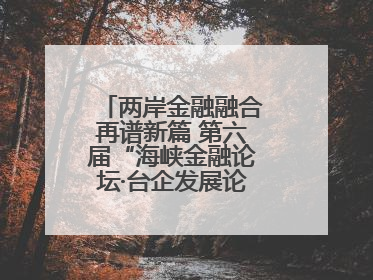 两岸金融融合再谱新篇 第六届“海峡金融论坛·台企发展论坛”在厦举办