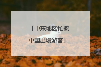 中东地区忙揽中国出境游客