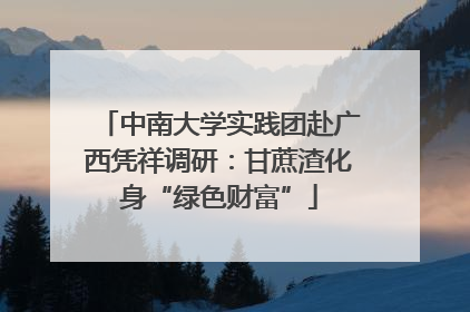 中南大学实践团赴广西凭祥调研：甘蔗渣化身“绿色财富”
