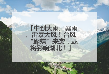 中到大雨、暴雨、雷暴大风！台风“蝴蝶”来袭，或将影响湖北！