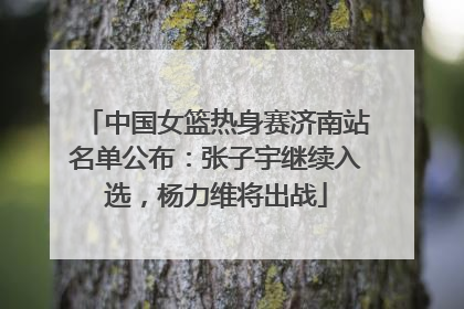 中国女篮热身赛济南站名单公布：张子宇继续入选，杨力维将出战
