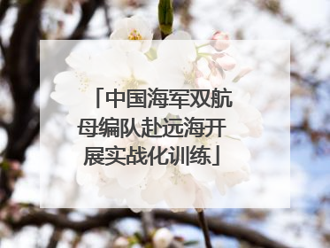 中国海军双航母编队赴远海开展实战化训练