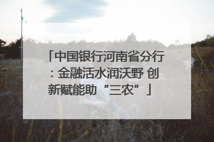 中国银行河南省分行：金融活水润沃野 创新赋能助“三农”