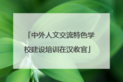 中外人文交流特色学校建设培训在汉收官