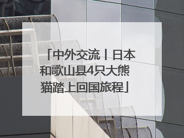 中外交流丨日本和歌山县4只大熊猫踏上回国旅程