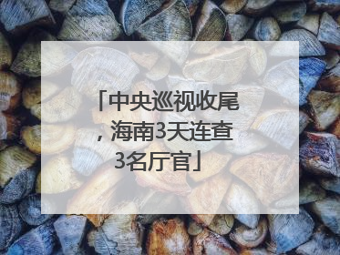 中央巡视收尾，海南3天连查3名厅官
