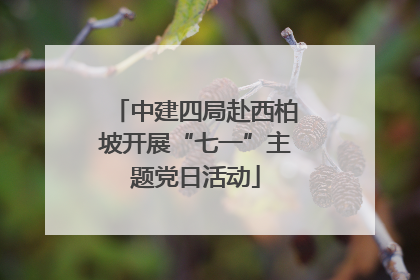 中建四局赴西柏坡开展“七一”主题党日活动