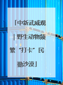 中新武威观｜野生动物频繁“打卡”民勤沙漠