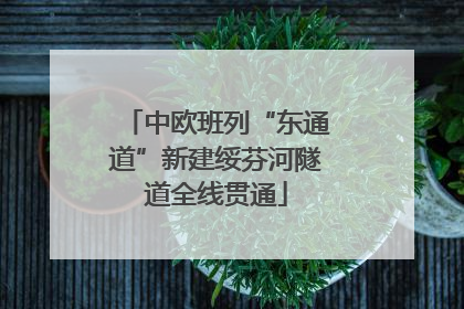 中欧班列“东通道”新建绥芬河隧道全线贯通