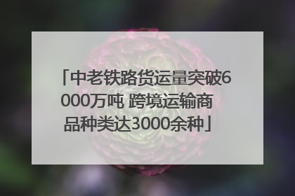 中老铁路货运量突破6000万吨 跨境运输商品种类达3000余种