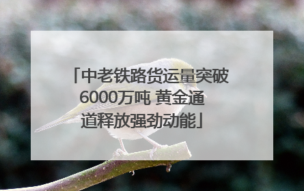 中老铁路货运量突破6000万吨 黄金通道释放强劲动能
