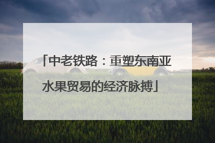 中老铁路：重塑东南亚水果贸易的经济脉搏