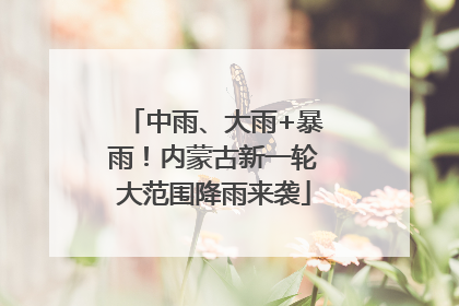 中雨、大雨+暴雨！内蒙古新一轮大范围降雨来袭