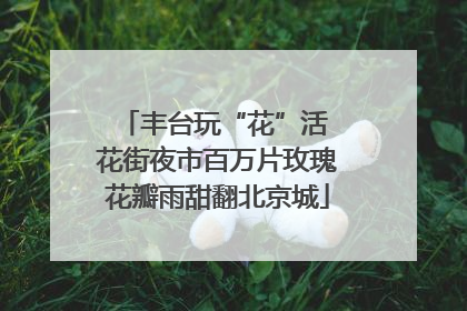 丰台玩“花”活 花街夜市百万片玫瑰花瓣雨甜翻北京城