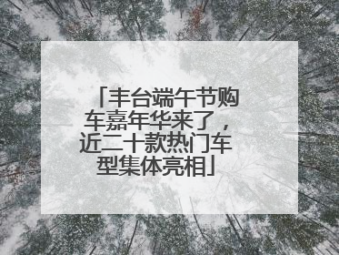 丰台端午节购车嘉年华来了，近二十款热门车型集体亮相