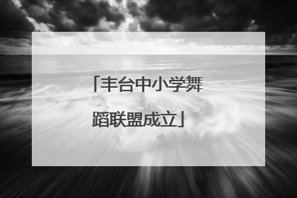 丰台中小学舞蹈联盟成立