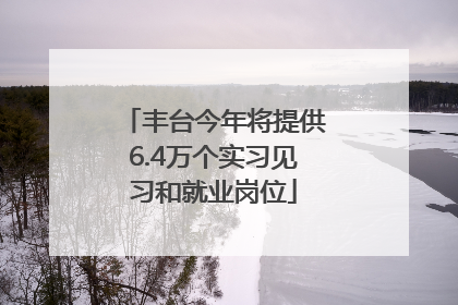 丰台今年将提供6.4万个实习见习和就业岗位