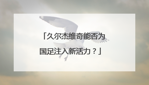 久尔杰维奇能否为国足注入新活力？