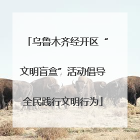 乌鲁木齐经开区“文明盲盒”活动倡导全民践行文明行为