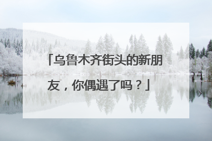 乌鲁木齐街头的新朋友，你偶遇了吗？