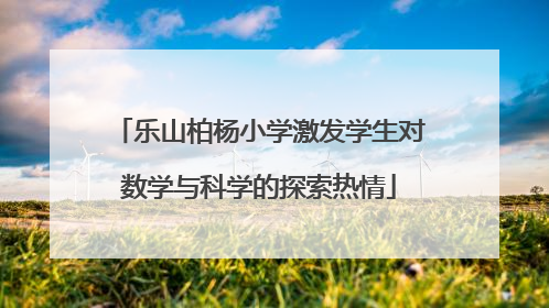 乐山柏杨小学激发学生对数学与科学的探索热情