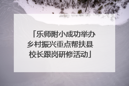 乐师附小成功举办乡村振兴重点帮扶县校长跟岗研修活动