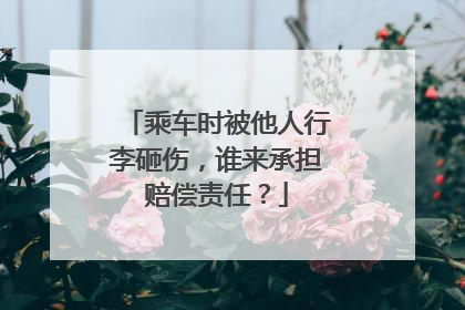 乘车时被他人行李砸伤，谁来承担赔偿责任？