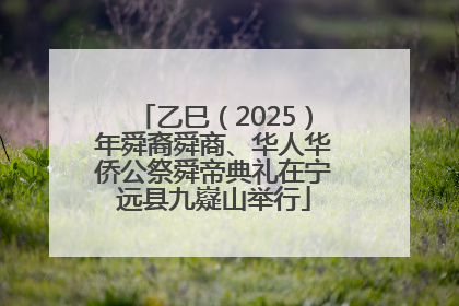 乙巳（2025）年舜裔舜商、华人华侨公祭舜帝典礼在宁远县九嶷山举行