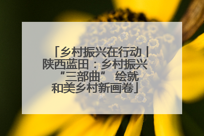 乡村振兴在行动丨陕西蓝田：乡村振兴 “三部曲” 绘就和美乡村新画卷