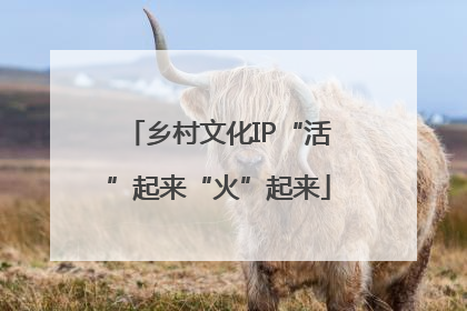 乡村文化IP“活”起来“火”起来